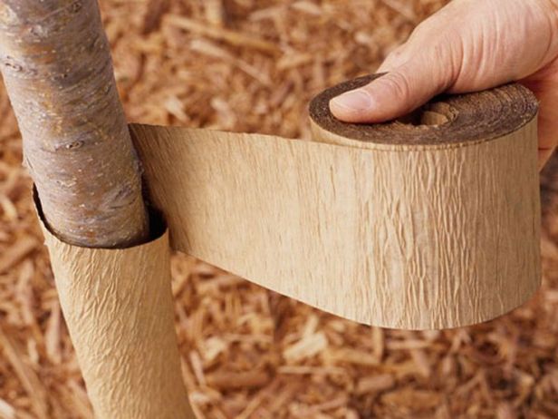 6ed50e98d840ae2e1809ffd11114d40b